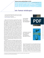 Brain 2012 Malafouris Brain - Aws063 PDF