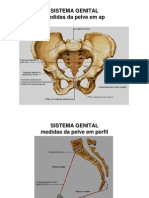 2010.03.31.aula43.44.fatec - Anatomia Radiológica Do Sistema Genital