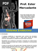 Sistema Endocrino - ETBJ Ituporanga-sc