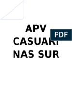 Apv Casuarinas Sur