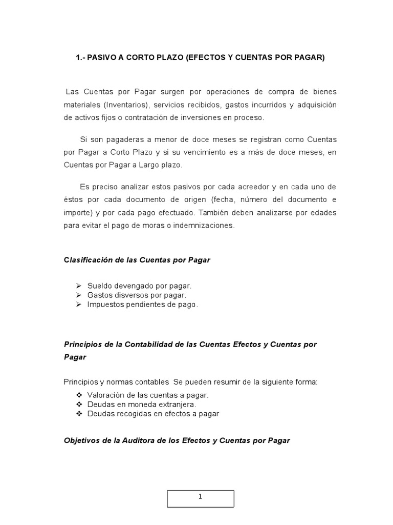 Auditoría y Control de Cuentas por Pagar | PDF | Amortización (Negocio ...