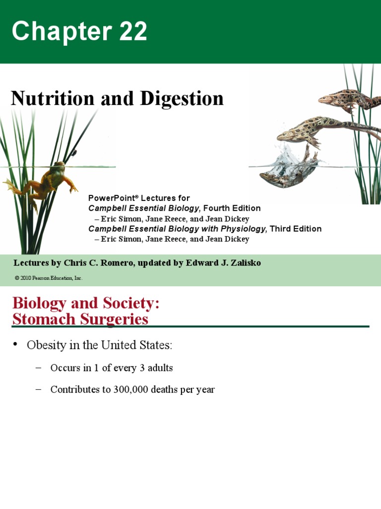 Nutrition and Digestion: Lectures by Chris C. Romero, updated by Edward