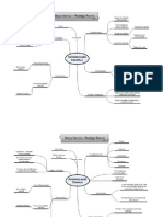 Mapas Mentais Adm Geral