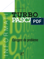 Andrei Braicov-Turbo Pascal-Culegere de Probleme-Ed II-Chisinau-Prut International 2007