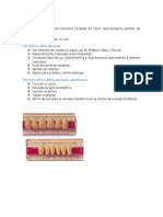 Dientes artificiales Vita 