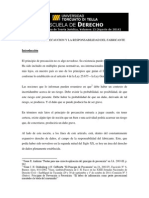 El principio de precaucion.pdf