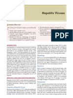 270519308-Hepatitis.pdf