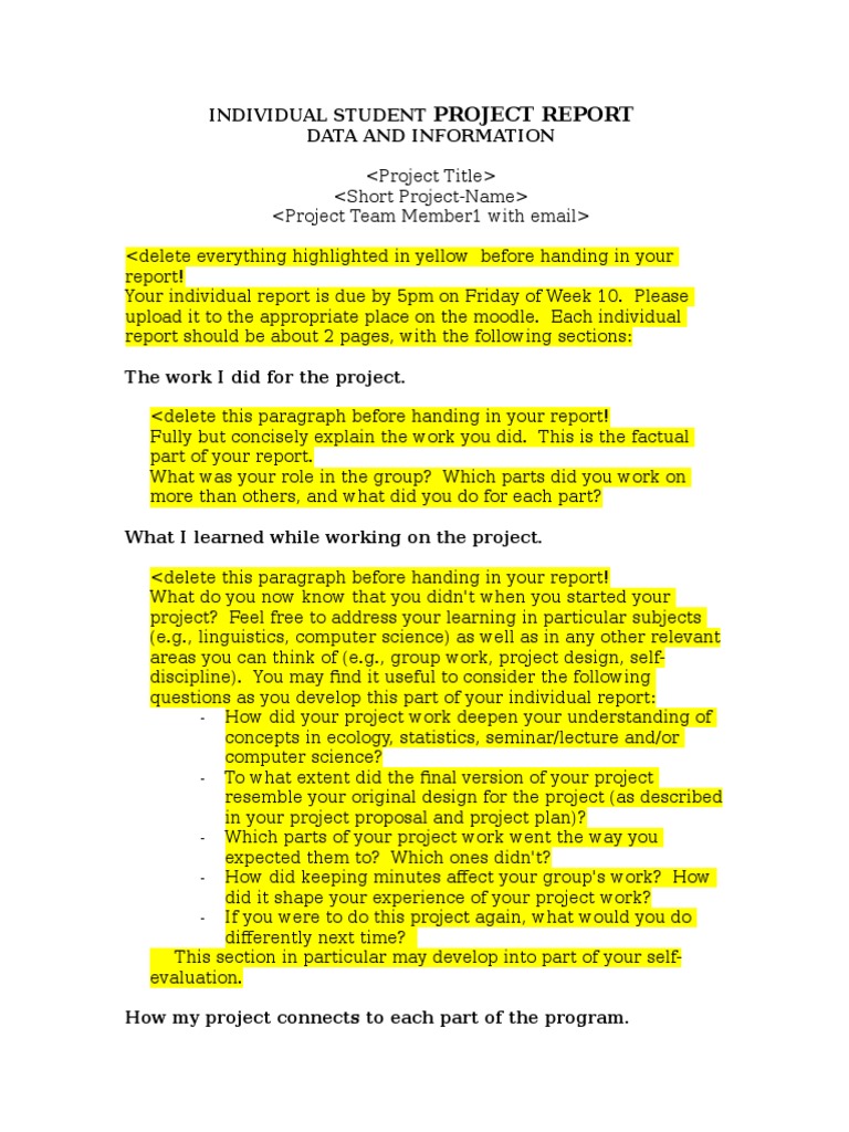 Individual Project Report Template PDF