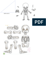 El Esqueleto