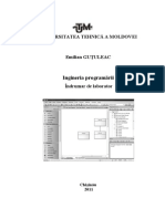 Ingineria Programarii. Indrumar de laborator.pdf