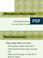What Makes A Plant A Plant?
