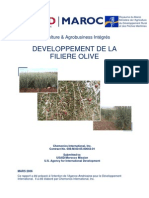 Developpement de La Filiere Olive PDF
