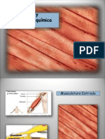 Composición Química de la Carne