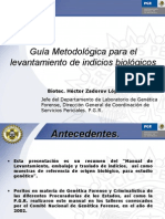 forense.pdf