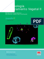 Biotecnologia y Mejoramiento Vegetal II