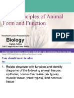 Basic Tissue Histology