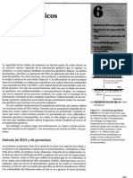 P2-C06 - Mecanismos genéticos básicos