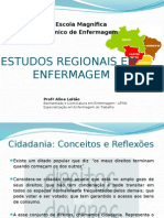 Estudos regionais em enfermagem