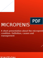 About The Micropenis Condition