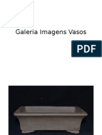 Galeria Imagens Vasos.pptx