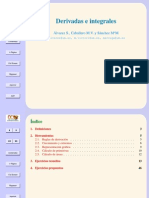detivadas y integrales.pdf