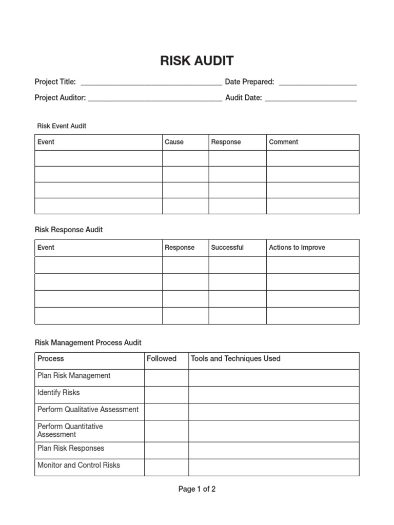 Risk Audit for Project Managers | PDF