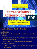 1° aula nucleotideos e acidos nucleicos