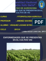 Exposicion de Vid