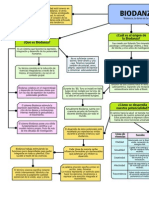 Mapa Bases Psicoterapia-Biodanza