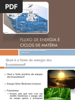 (3) Ciências Naturais - 8º Ano - Fluxo de Energia e Ciclos de Matéria