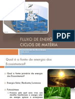 (3) Ciências Naturais - 8º Ano - Fluxo de Energia e Ciclos de Matéria
