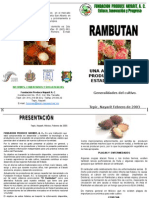 20febtriptico Rambutan 3