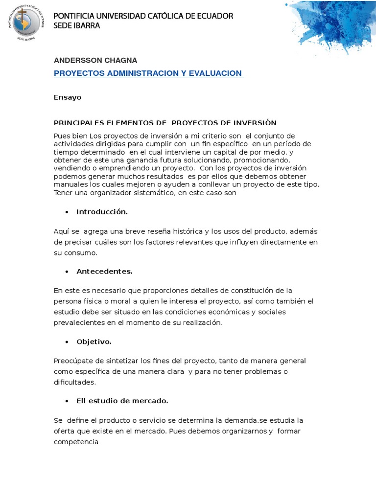 Elementos Clave en Proyectos de Inversión | PDF | Presupuesto | Inversiones