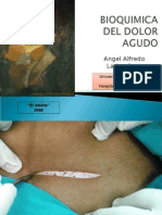 Bioquimica Del Dolor