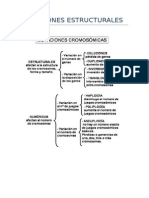 Mutaciones Estructurales