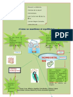 EAD1311051_Homeostasis.doc