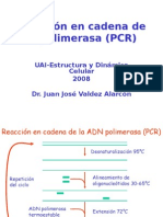 Pcr Edc 2008