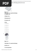 Download AP Chp 15 Quiz by Gennaro SN271893379 doc pdf