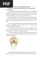 Download Anatomi dan Patofisiologi Jantung by Dwi N SN27189839 doc pdf