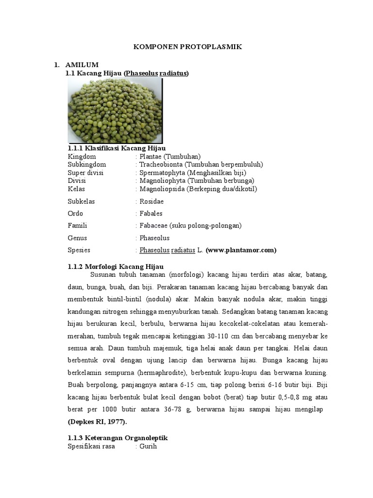 Laporan Praktikum Botani Komponen Protoplasmik Dan Rhizoma