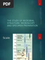 The Study of Microbial Structure: Microscopy and Specimen Preparation