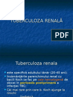 Tuberculoza Renala