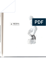 Anatomia Palpatoria PIERNA - S. Tixa