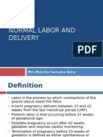 5336mah Normal Labor and Delivery