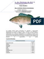 Ficha Tecnica Cabrilla PDF