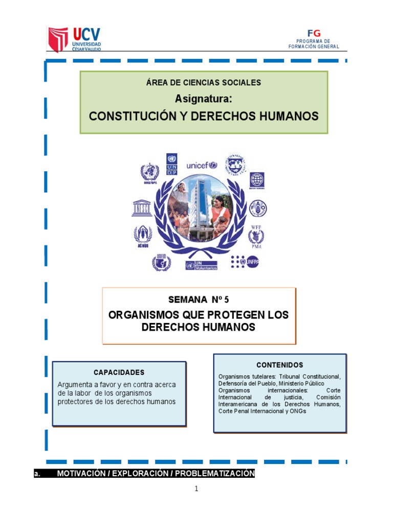Módulo 5 - Organismos Que Protegen Los Derechos Humanos | PDF | Virtud ...