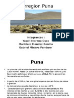 Ecorregión Puna: clima, flora y fauna