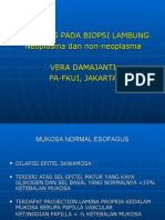 Dr. Vera Biopsi Neoplasma Dan Non Neoplasma Esofagus Dan Lambung IAP VY 2011