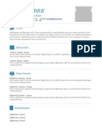 Plantilla Curriculum Vitae Completar 9