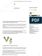 Aceite Yerbaluisa PDF